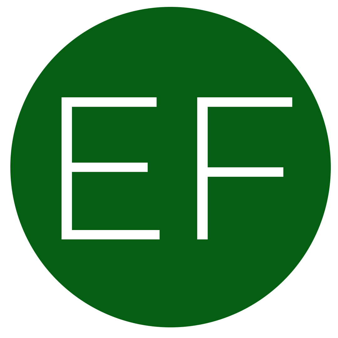 recensione2-ef
